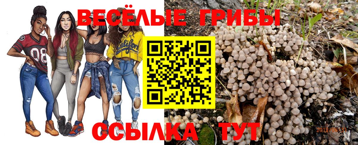 Псилоцибиновые грибы Magic Shrooms  Вход с VPN  Минеральные Воды 